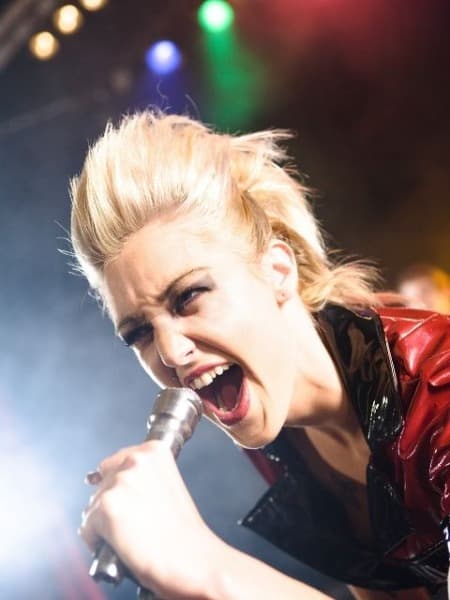 Chanteur / Chanteuse