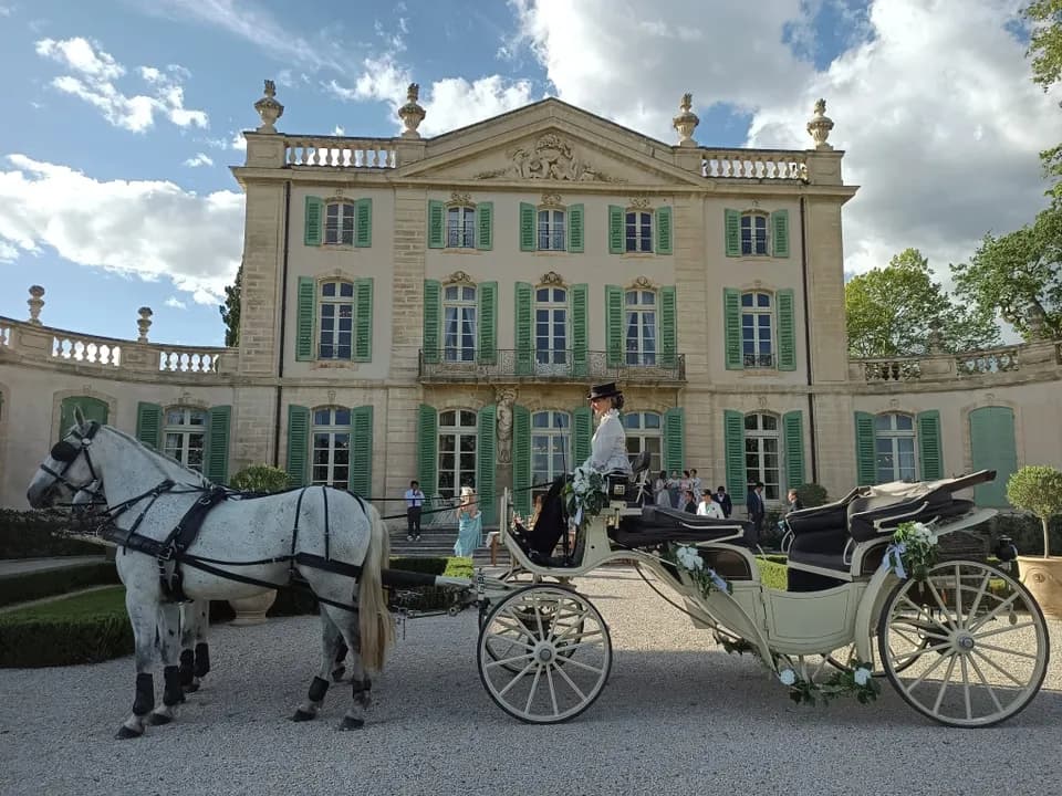 PROVENCE CALECHE TRADITION